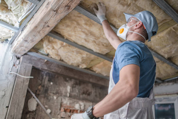 Types of Insulation We Offer in ME